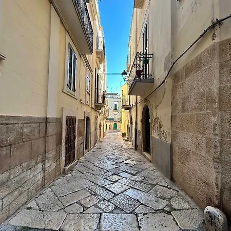 Moira Bitonto